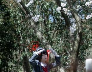 矢量鱼的别样短裤：作品集中原图的“心愿单”