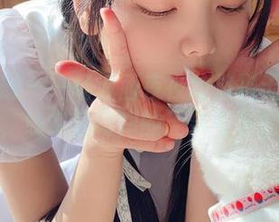 稚乖画册 – 一场赤西夜夜的旗袍无圣光合集，线条流动间的无奈与笨拙。