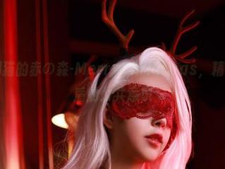 关于黑白御猫的赤の森-MerryChristmas，精选且稍显矛盾的公共意识