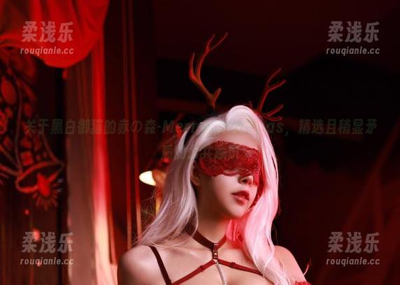 关于黑白御猫的赤の森-MerryChristmas，精选且稍显矛盾的公共意识